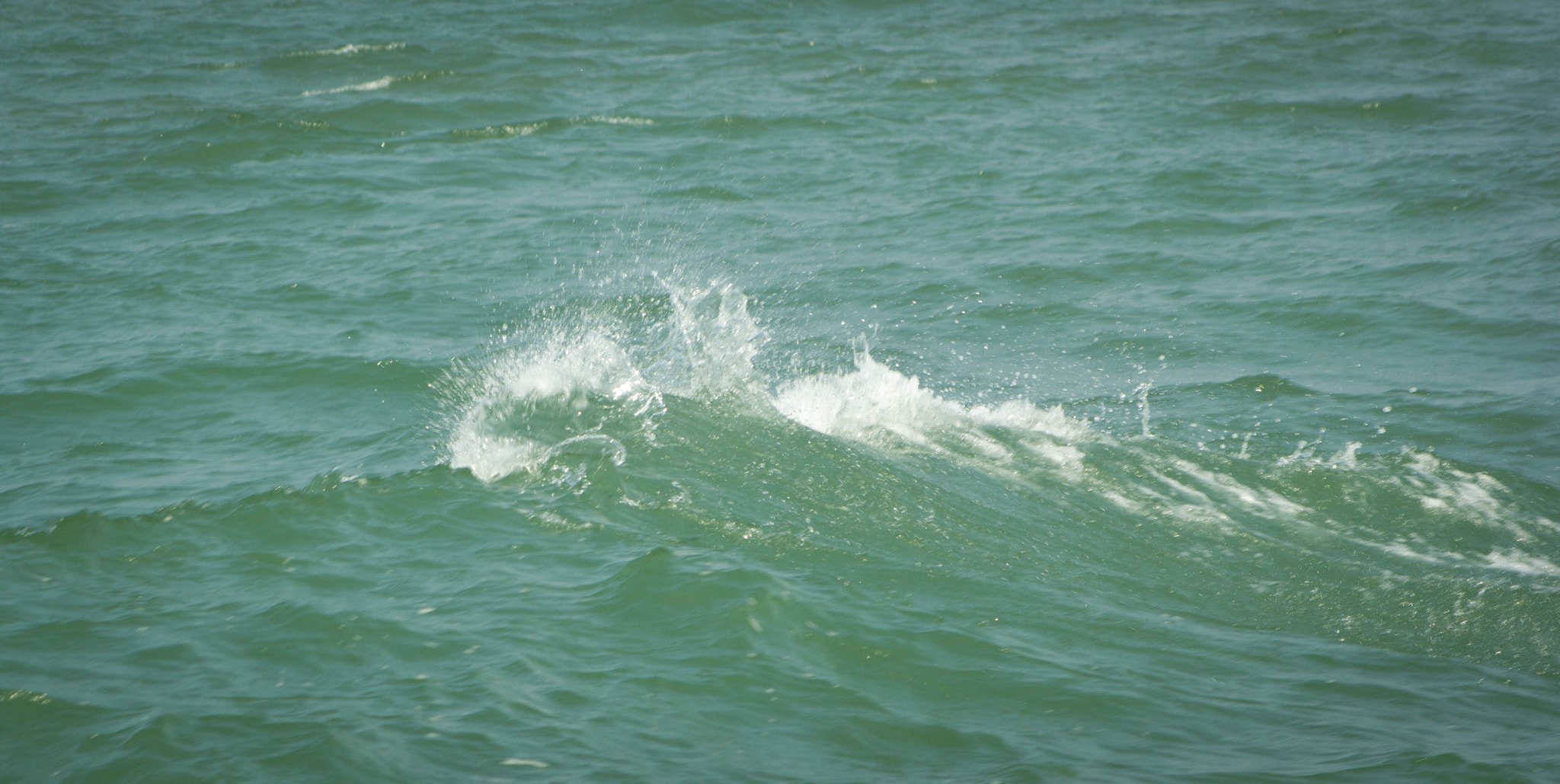 Canon EF 75-300mm f/4-5.6 USM sample photo. An iota of splash photography