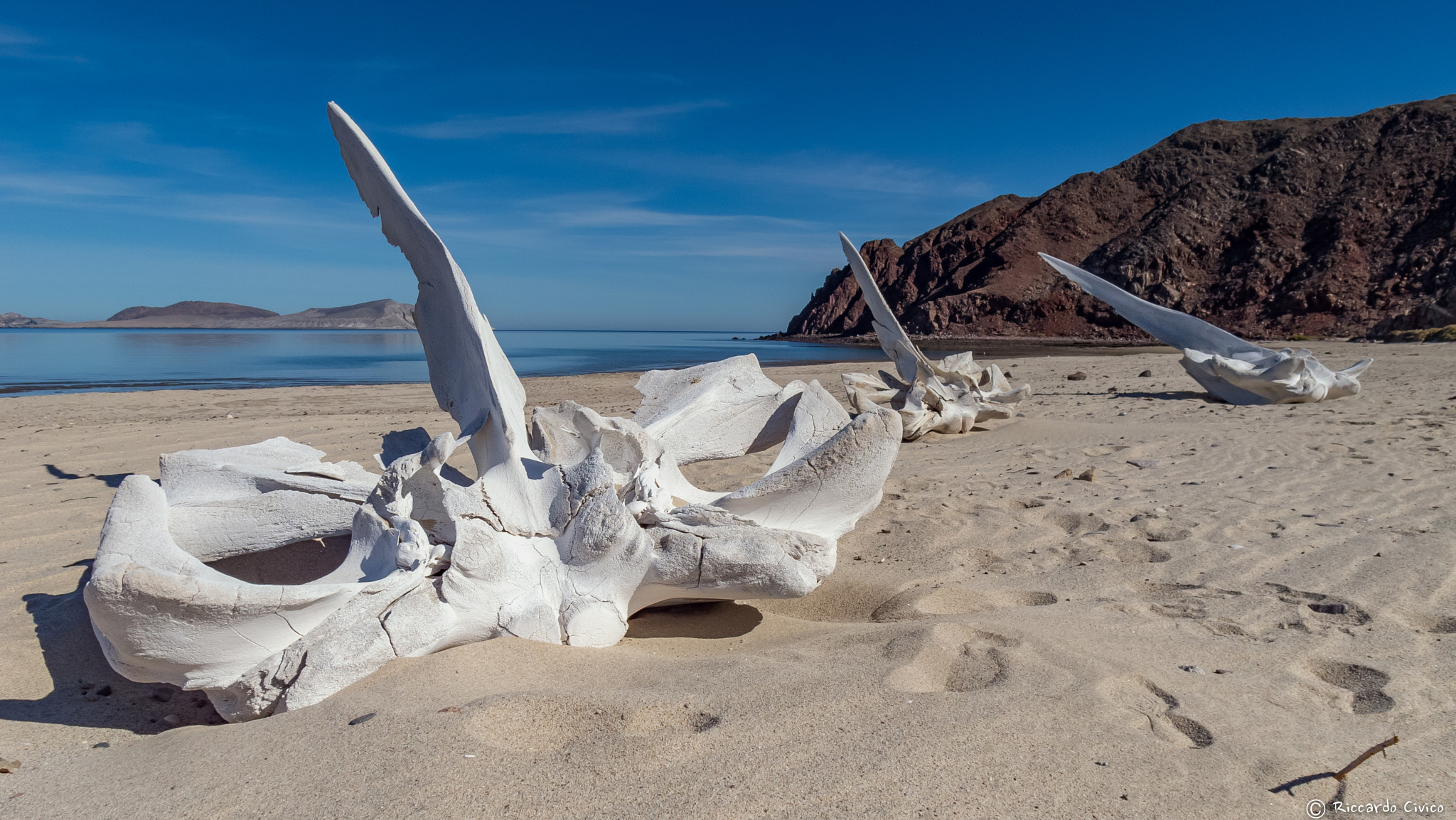 Samsung EX1 sample photo. Baja california photography