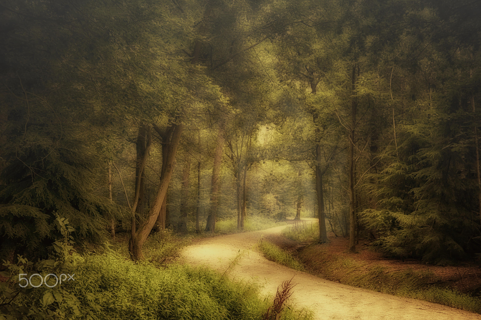 Samsung NX1 + NX 18-200mm F3.5-6.3 sample photo. My daily walk photography