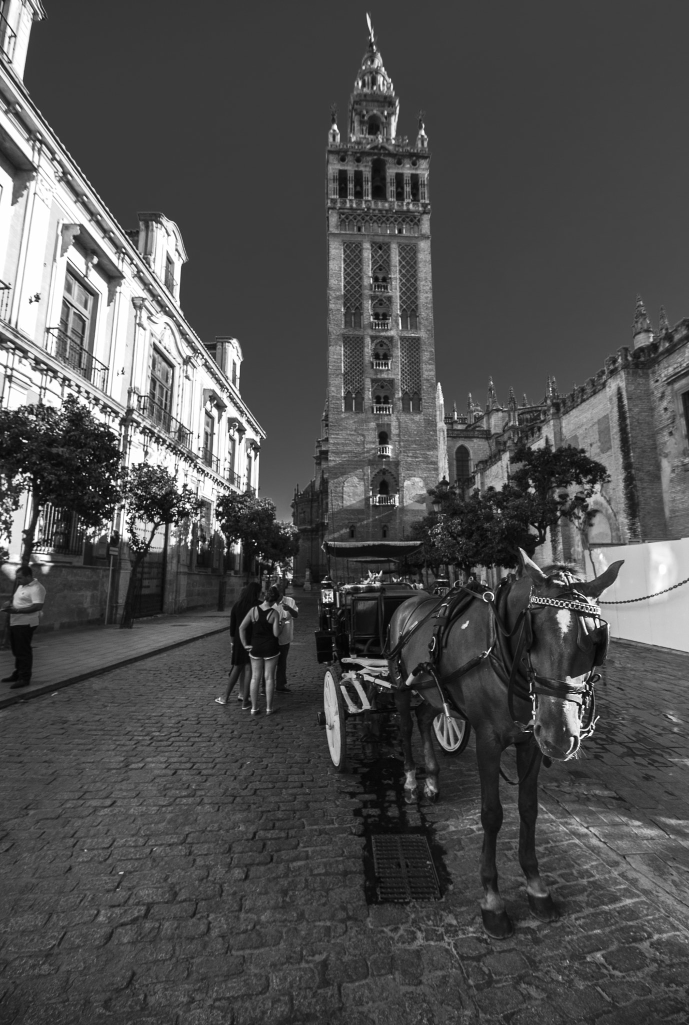 Leica Digilux 3 sample photo. 9 de agosto - calesa y giralda photography