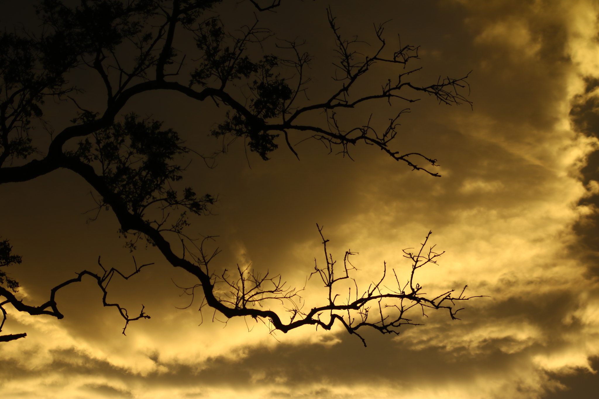 Canon EOS 750D (EOS Rebel T6i / EOS Kiss X8i) + EF75-300mm f/4-5.6 sample photo. Secret of light.. photography