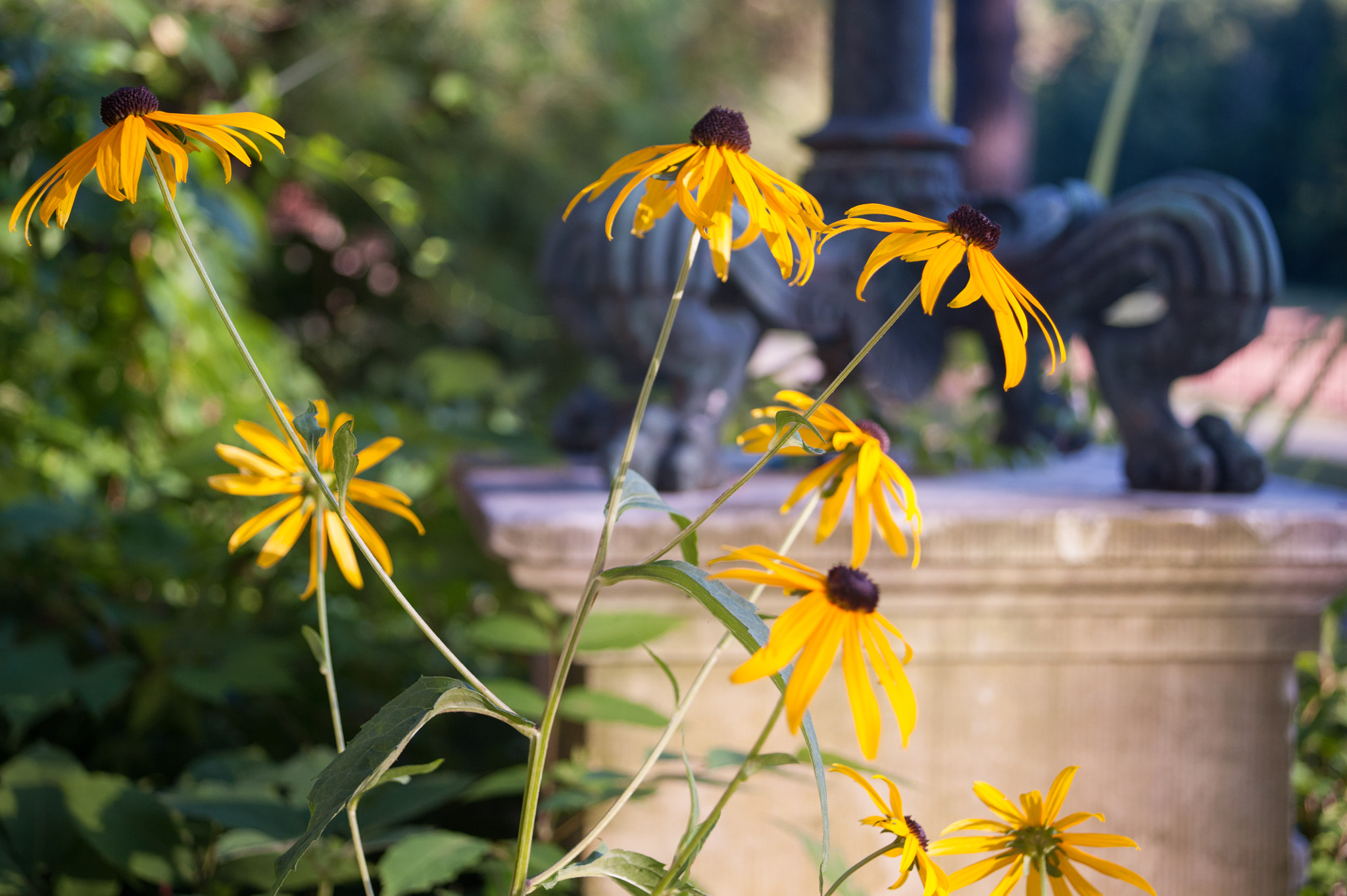 AF Zoom-Nikkor 28-70mm f/3.5-4.5D sample photo. Nikon d700 photography