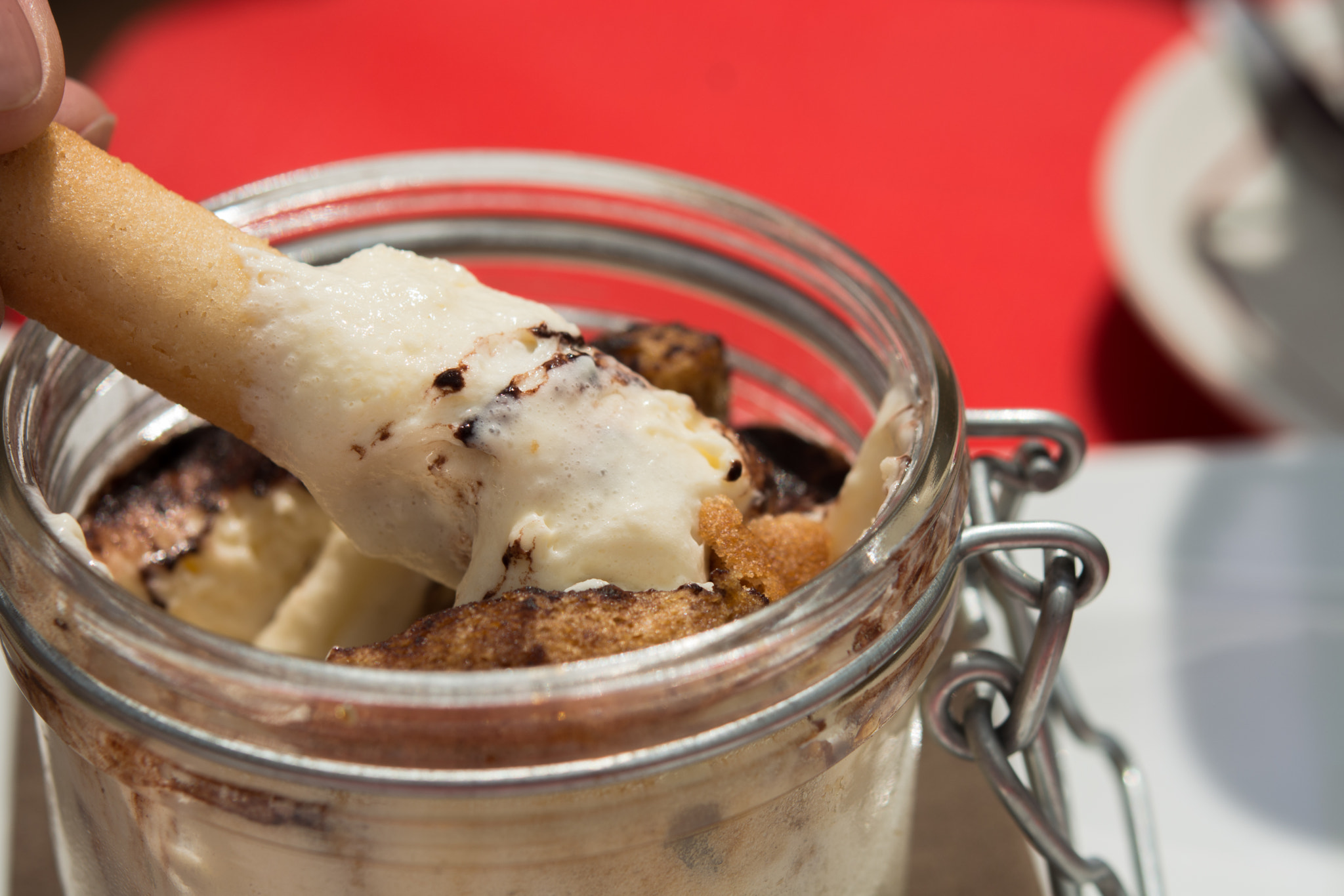Nikon AF-S Micro-Nikkor 60mm F2.8G ED sample photo. Haute savoie's tiramisu photography
