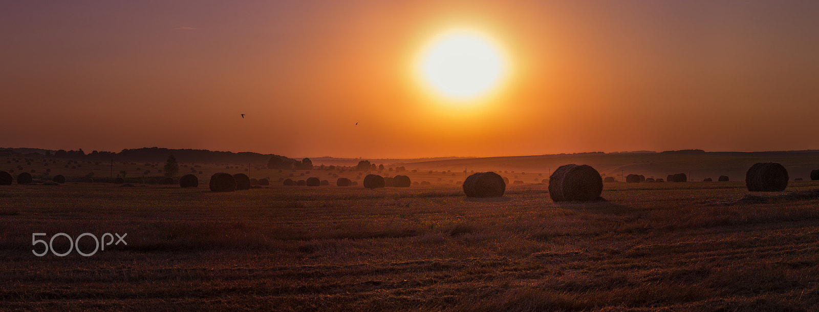 Canon EF 100mm F2.0 USM sample photo. Mow evening 3 photography