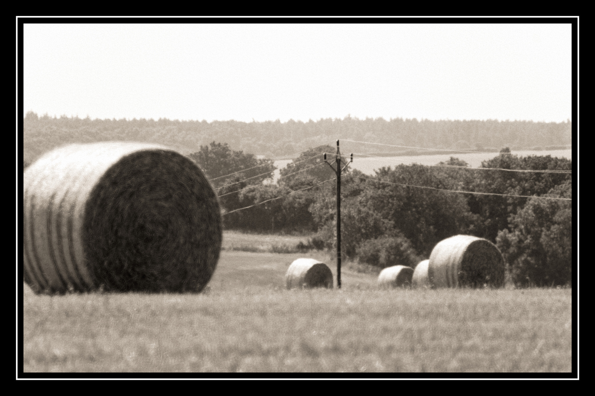Pentax smc DA 18-270mm F3.5-6.3 ED SDM sample photo. Farming. photography