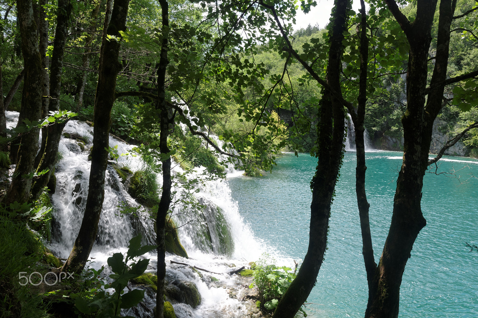 Sigma 10-20mm F3.5 EX DC HSM sample photo. Plitvice photography