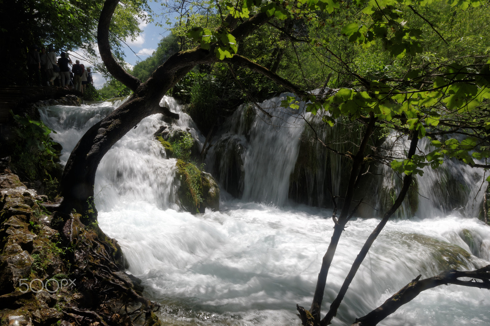 Sigma 10-20mm F3.5 EX DC HSM sample photo. Plitvice photography