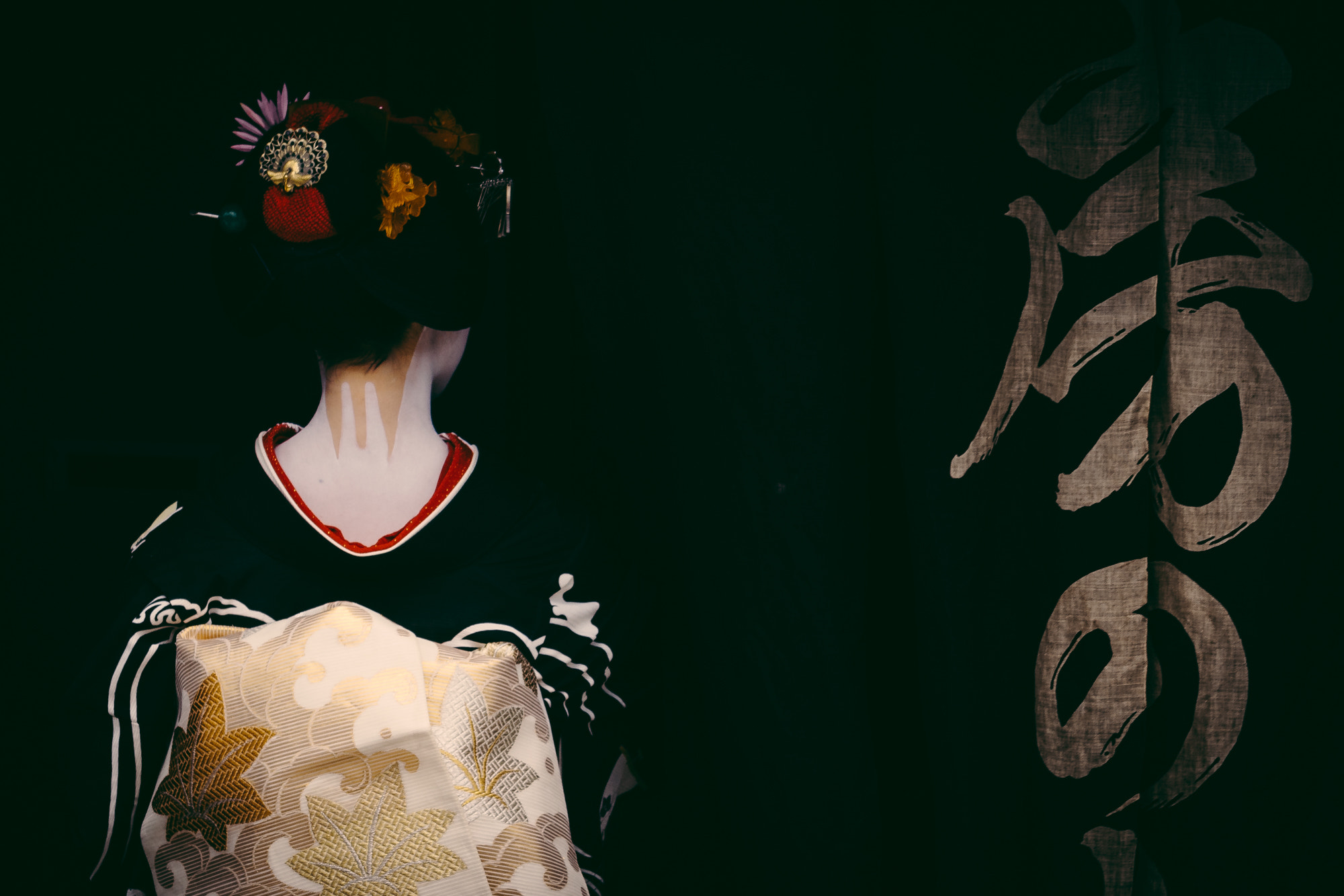 Sony FE 70-300mm F4.5-5.6 G OSS sample photo. Maiko photography