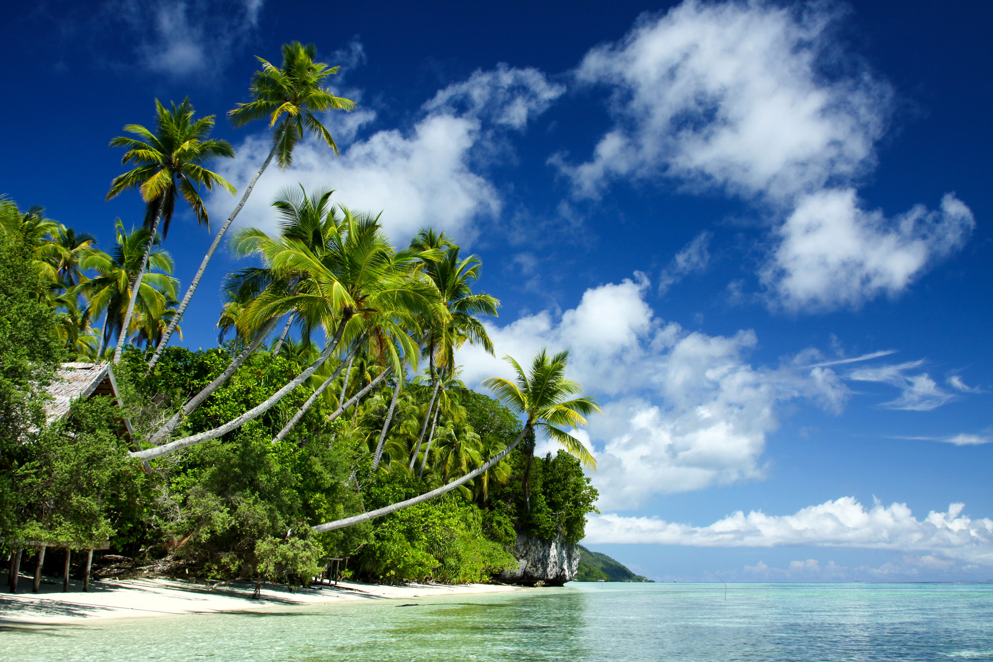 Sigma 24-60mm f/2.8 EX DG sample photo. Indonesia,west papua, raja ampat photography