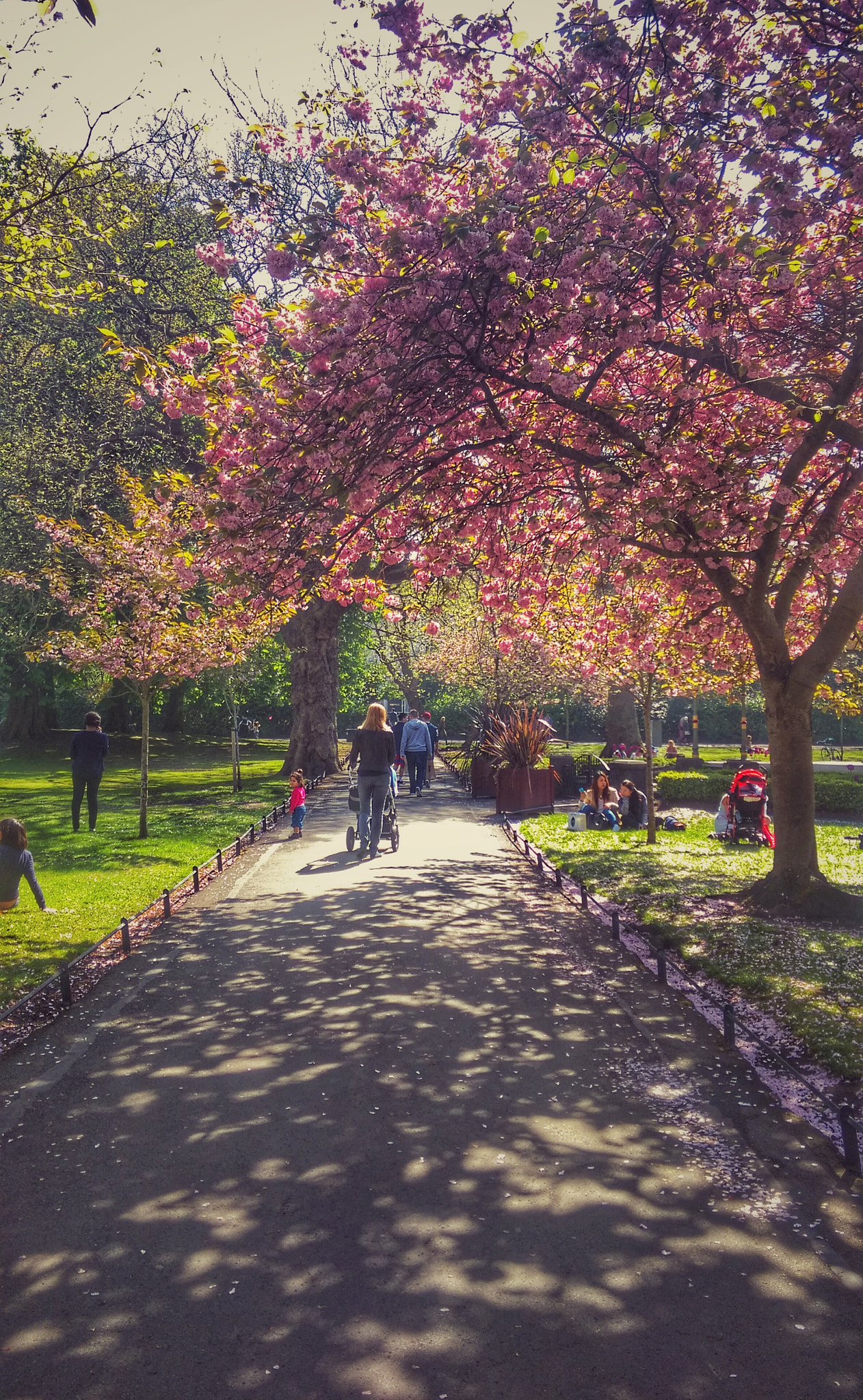 HTC DESIRE EYE sample photo. St stephen's green park photography