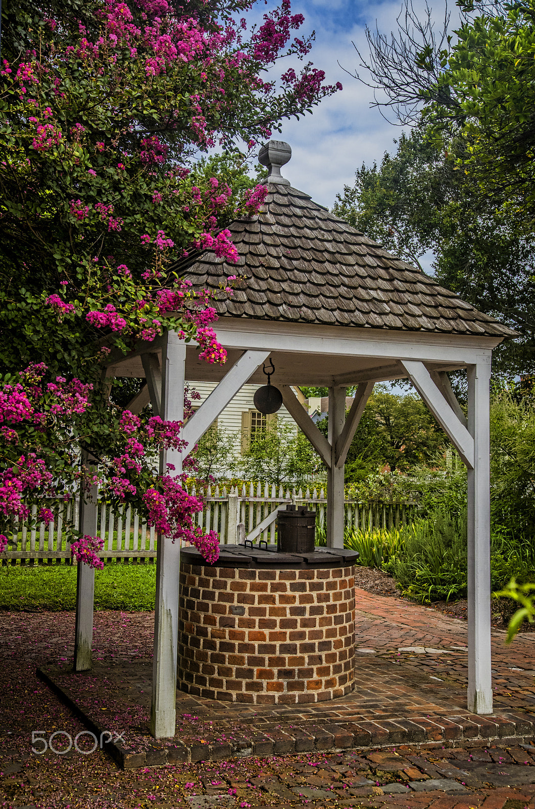 Sigma 24-105mm f/4 DG OS HSM | A sample photo. Well 11375vt photography