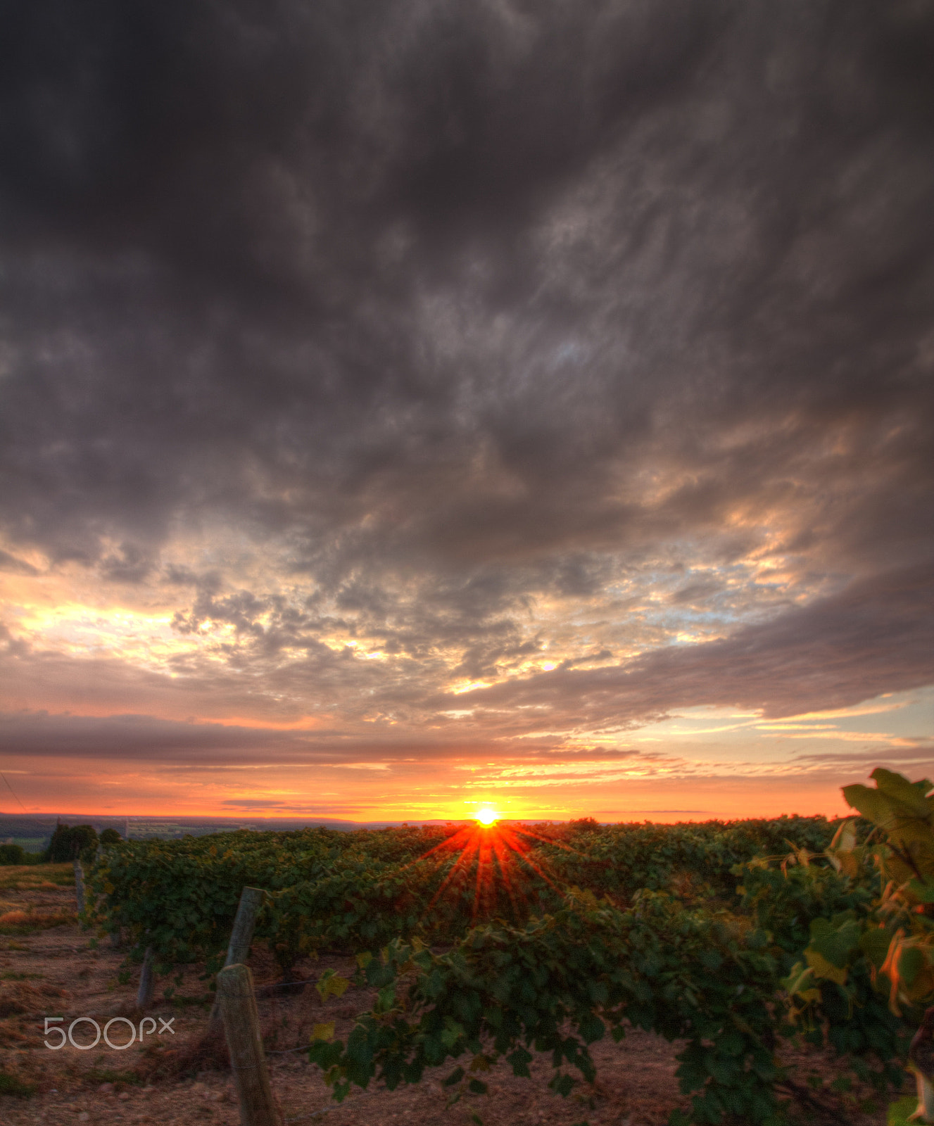 Canon EOS 550D (EOS Rebel T2i / EOS Kiss X4) sample photo. Beautiful sunsets need cloudy skies... photography