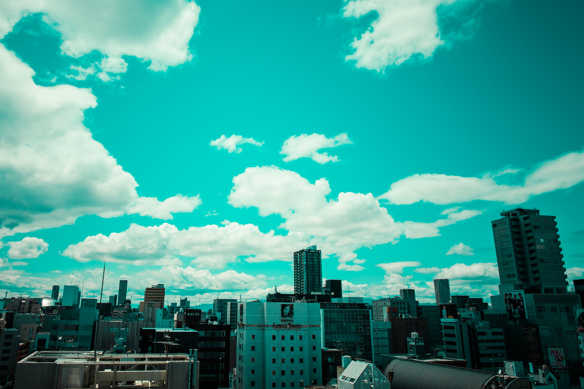 Canon EF 24-70mm F4L IS USM sample photo