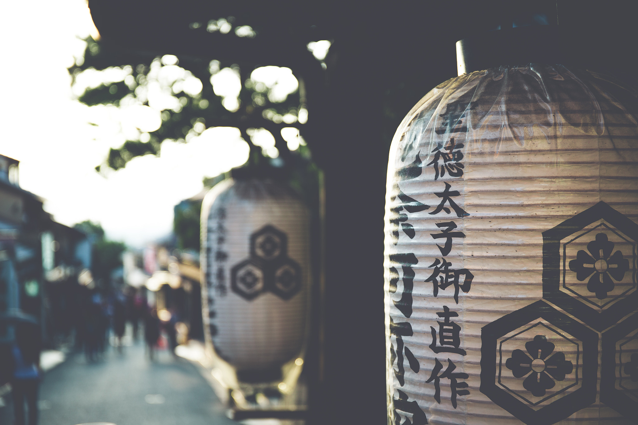 Canon EF 24-70mm F4L IS USM sample photo