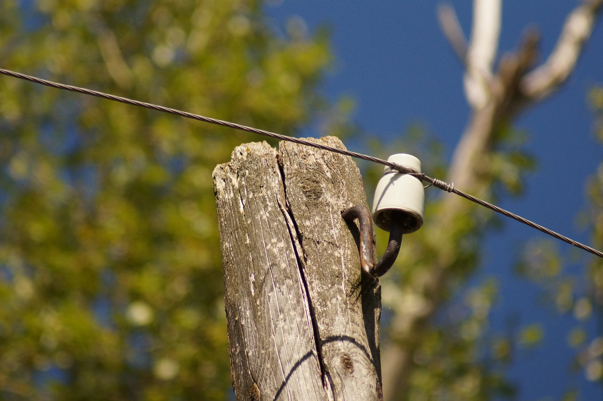 Sony 75-300mm F4.5-5.6 sample photo