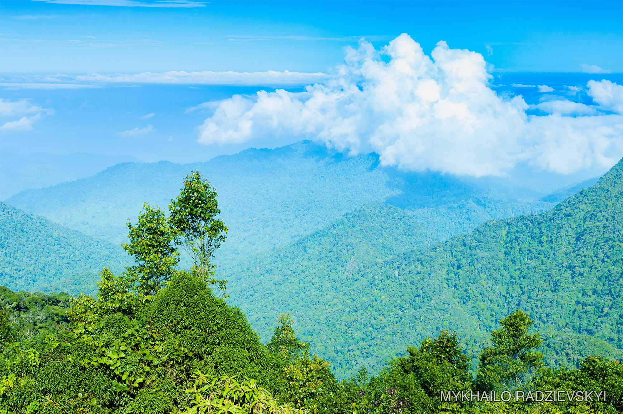 Nikon D3200 + Sigma 35mm F1.4 DG HSM Art sample photo. Highest place of cameron highlands photography