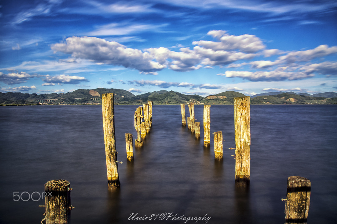 Sony Alpha DSLR-A580 + Tamron SP 24-70mm F2.8 Di VC USD sample photo. Lago di massaciuccoli photography