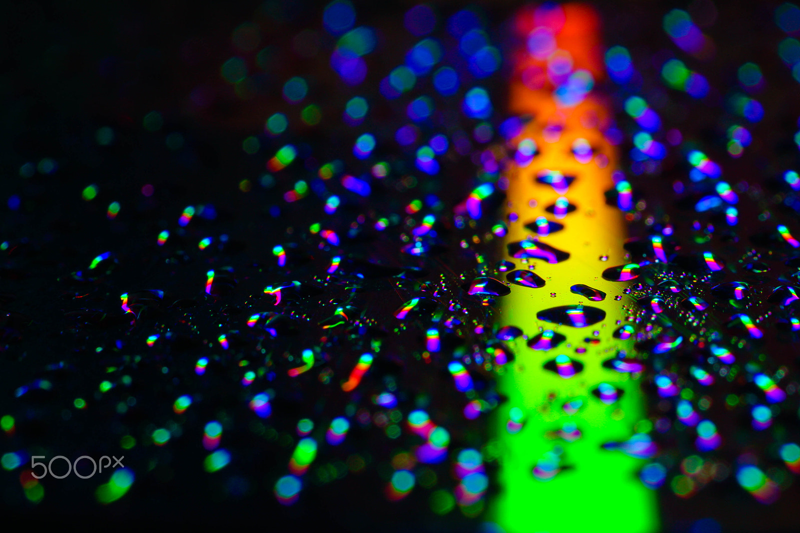 Canon EF-S 60mm F2.8 Macro USM sample photo. Drop water in cd photography