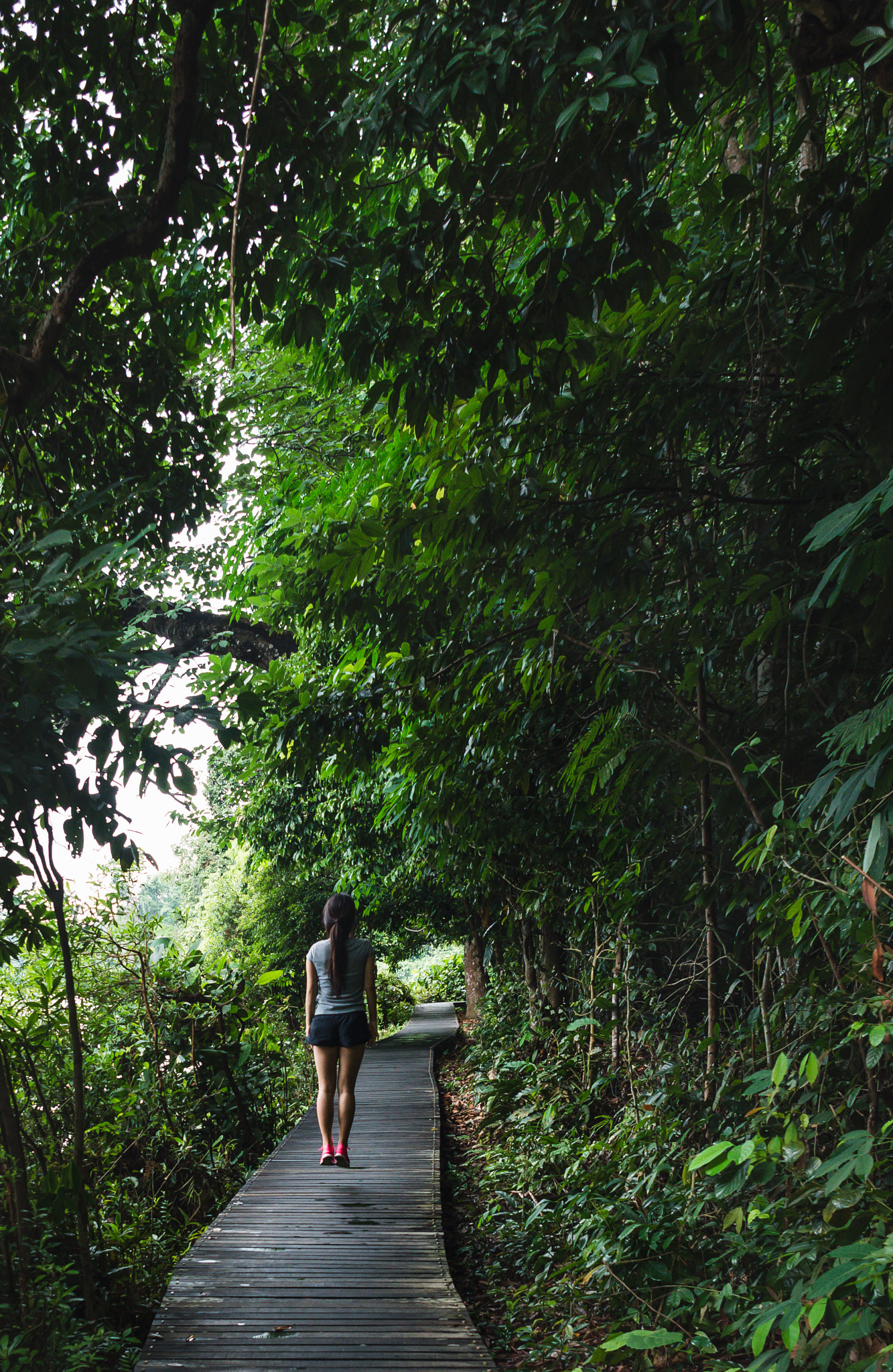 Nikon D610 + Nikon AF Nikkor 24mm F2.8D sample photo. Flying jungle photography