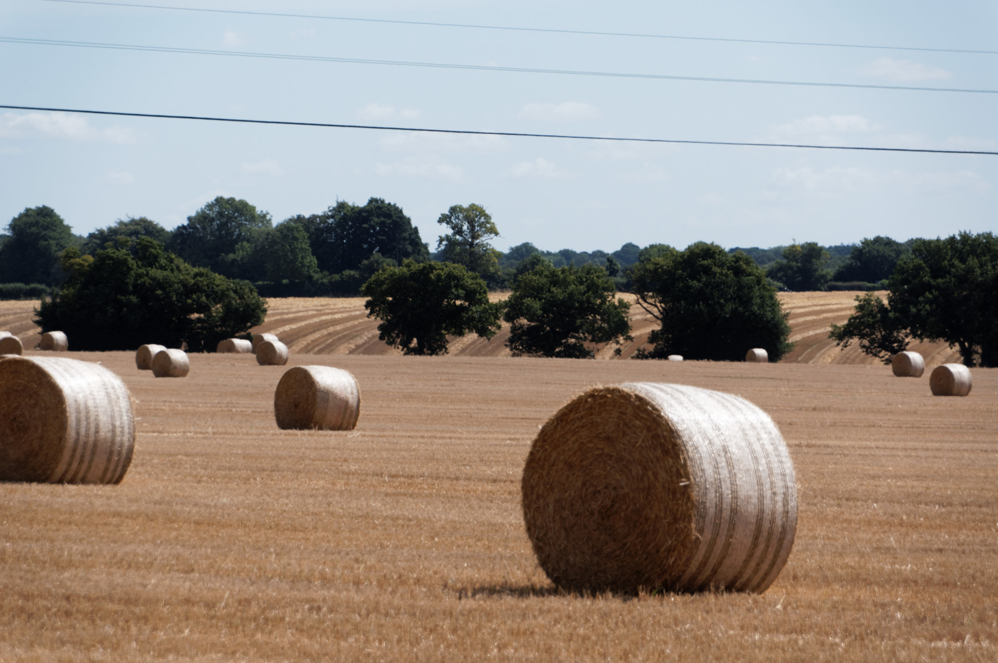 Pentax K-3 II + Pentax smc DA 18-270mm F3.5-6.3 ED SDM sample photo. Farming photography