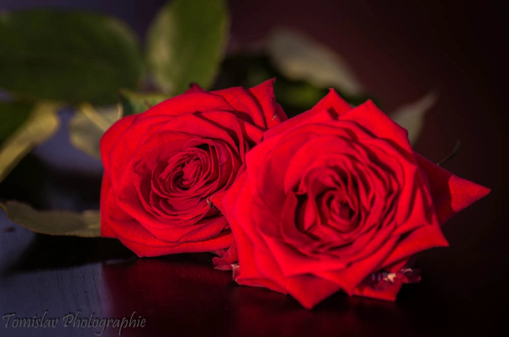 Pentax K-50 + Tamron SP AF 90mm F2.8 Di Macro sample photo. Roses rouge. photography