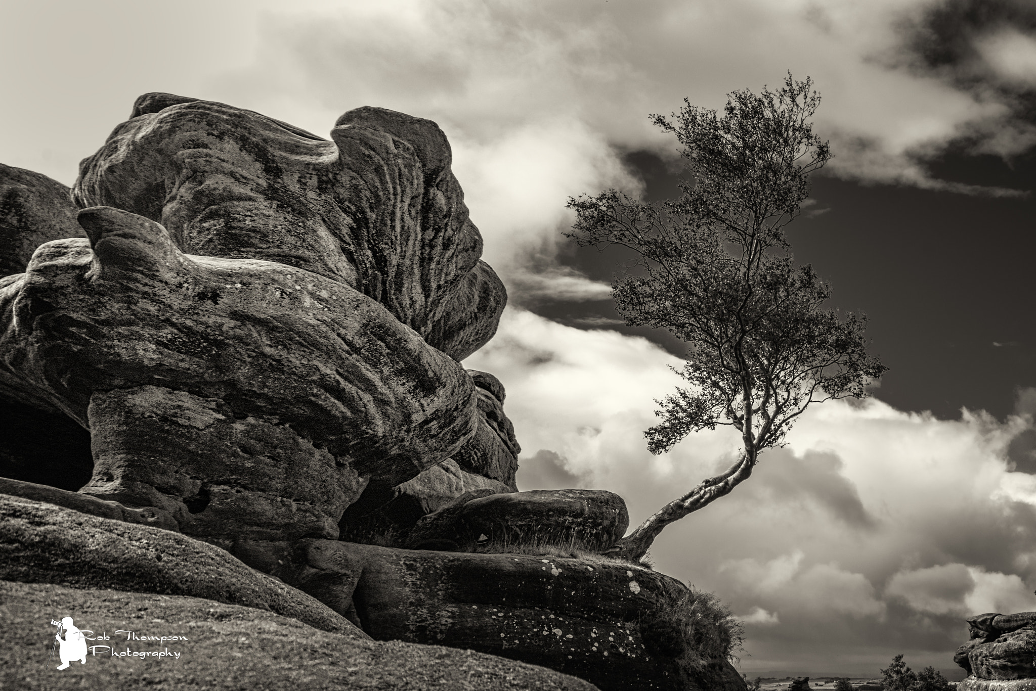 Sigma 12-24mm F4.5-5.6 EX DG Aspherical HSM sample photo. Brimham rocks tree photography