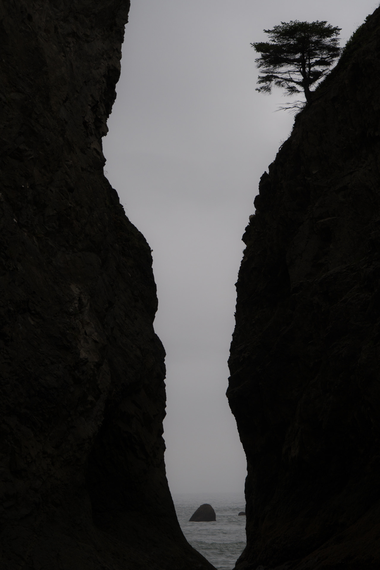 Sony a6300 + Sony FE 24-240mm F3.5-6.3 OSS sample photo. Rialto beach photography