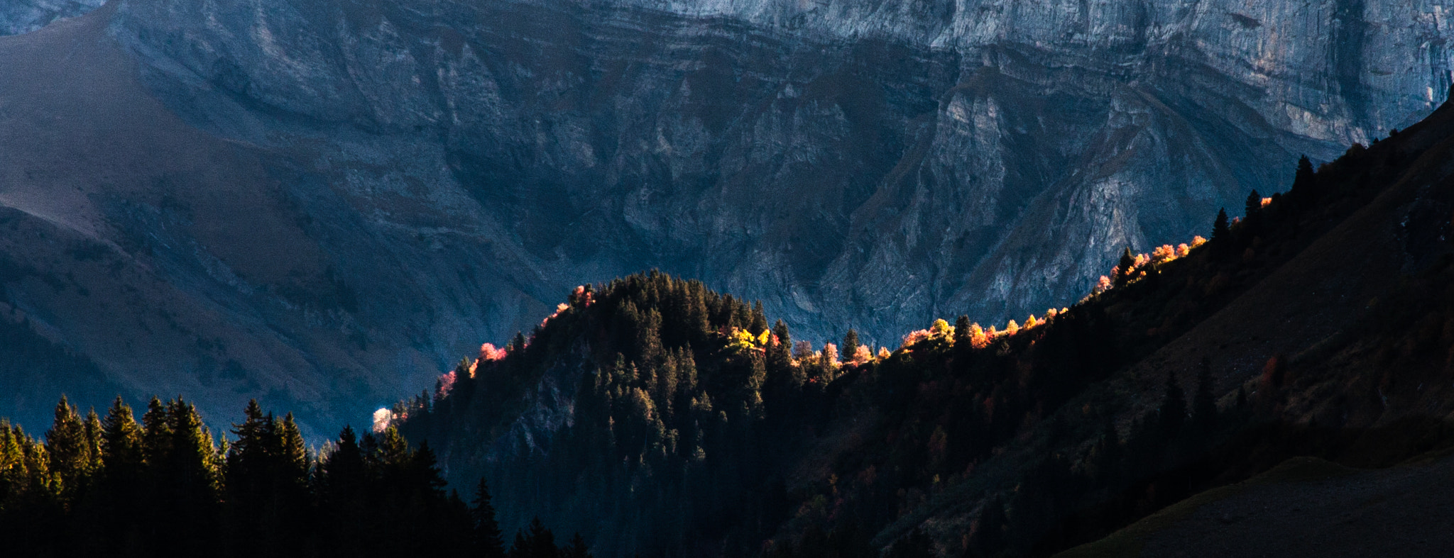 Canon EOS 40D sample photo. Frange lumineuse - light fringe photography