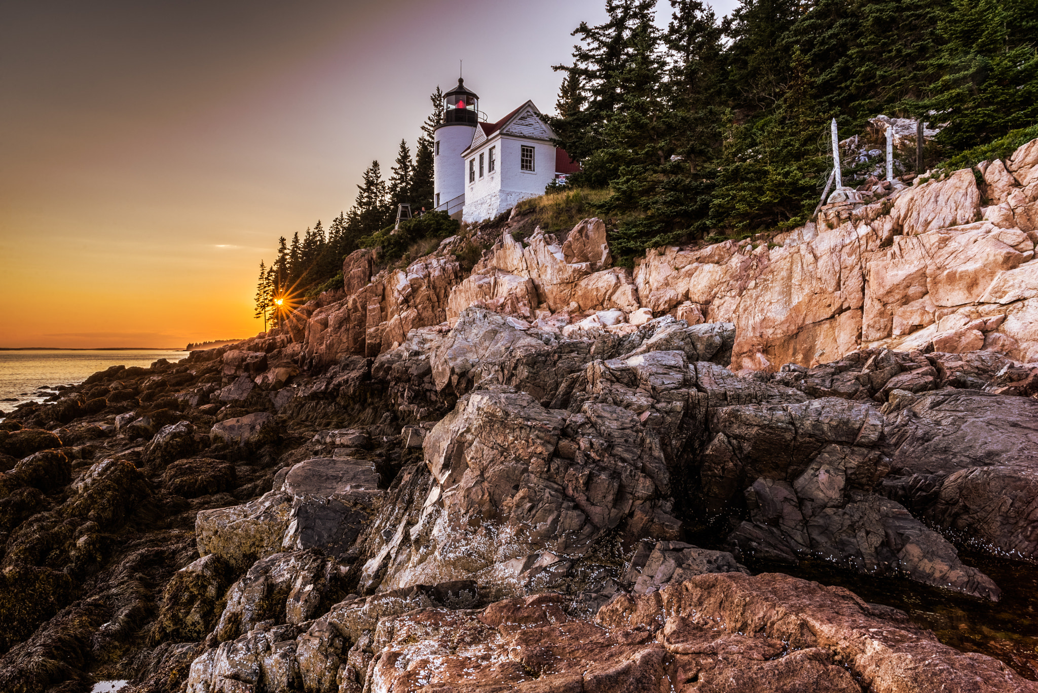 Nikon D600 + Sigma 24-70mm F2.8 EX DG Macro sample photo. Bassheadlightsunset photography
