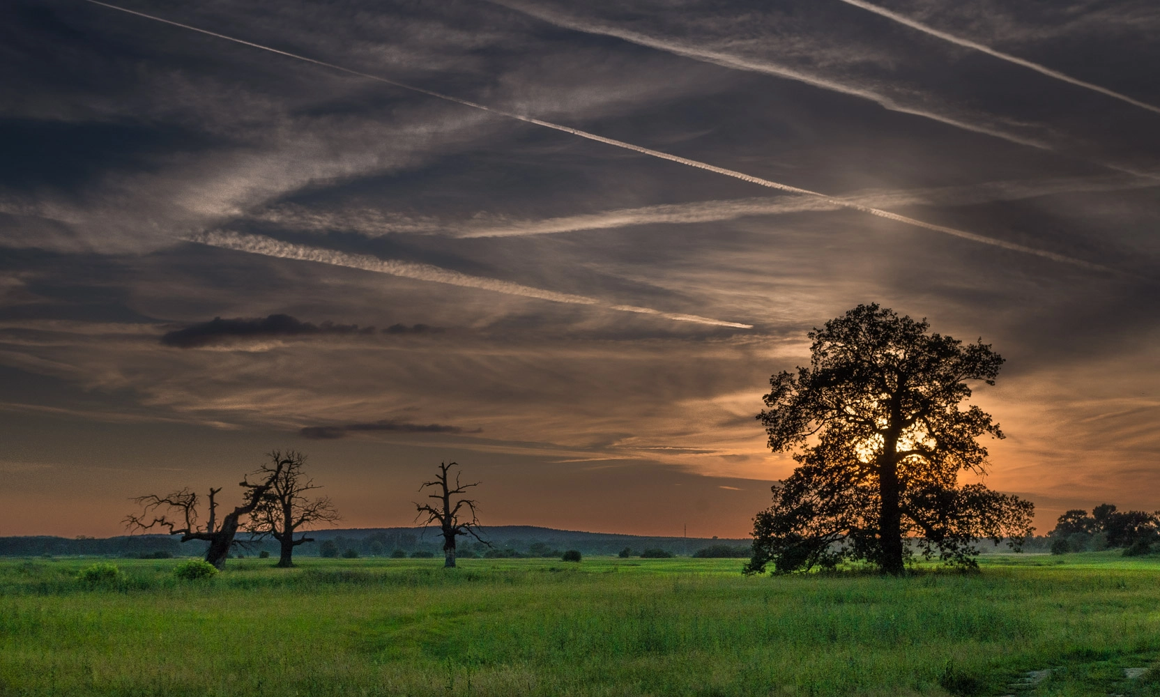 Pentax smc DA 18-55mm F3.5-5.6 AL WR sample photo. Rogaliński sunsets photography