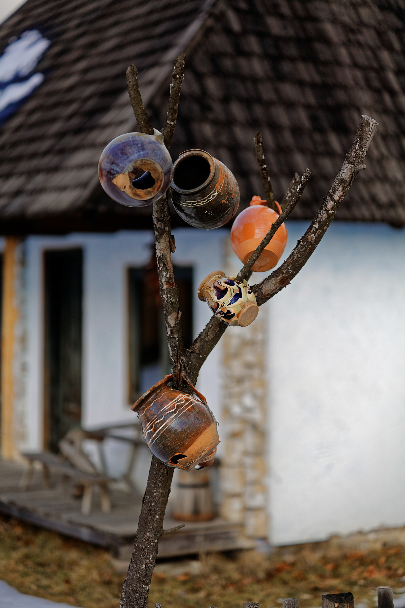 ZEISS Otus 85mm F1.4 sample photo. Drying in the sun photography