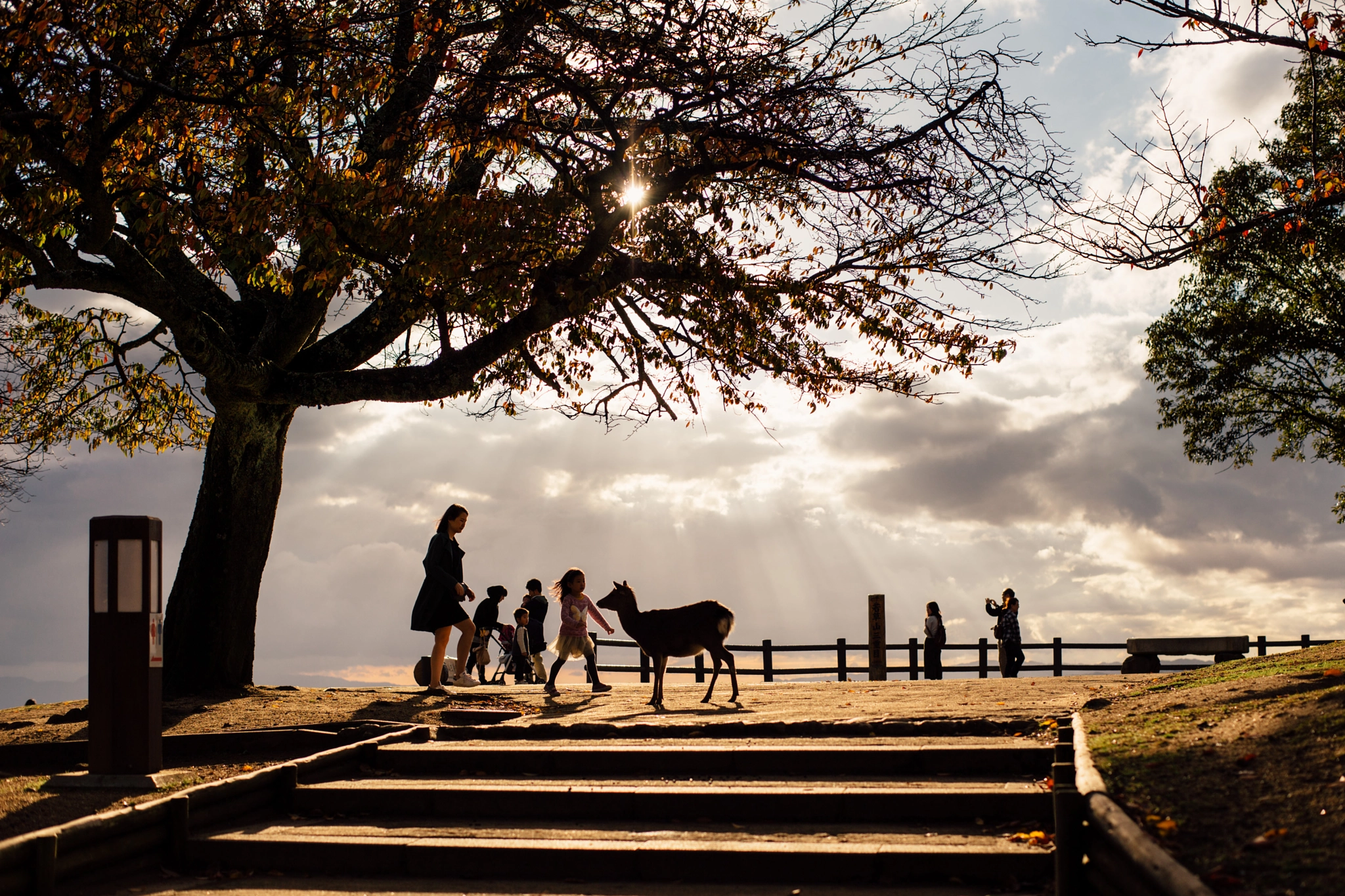 ZEISS Planar T* 50mm F1.4 sample photo. Holiday photography