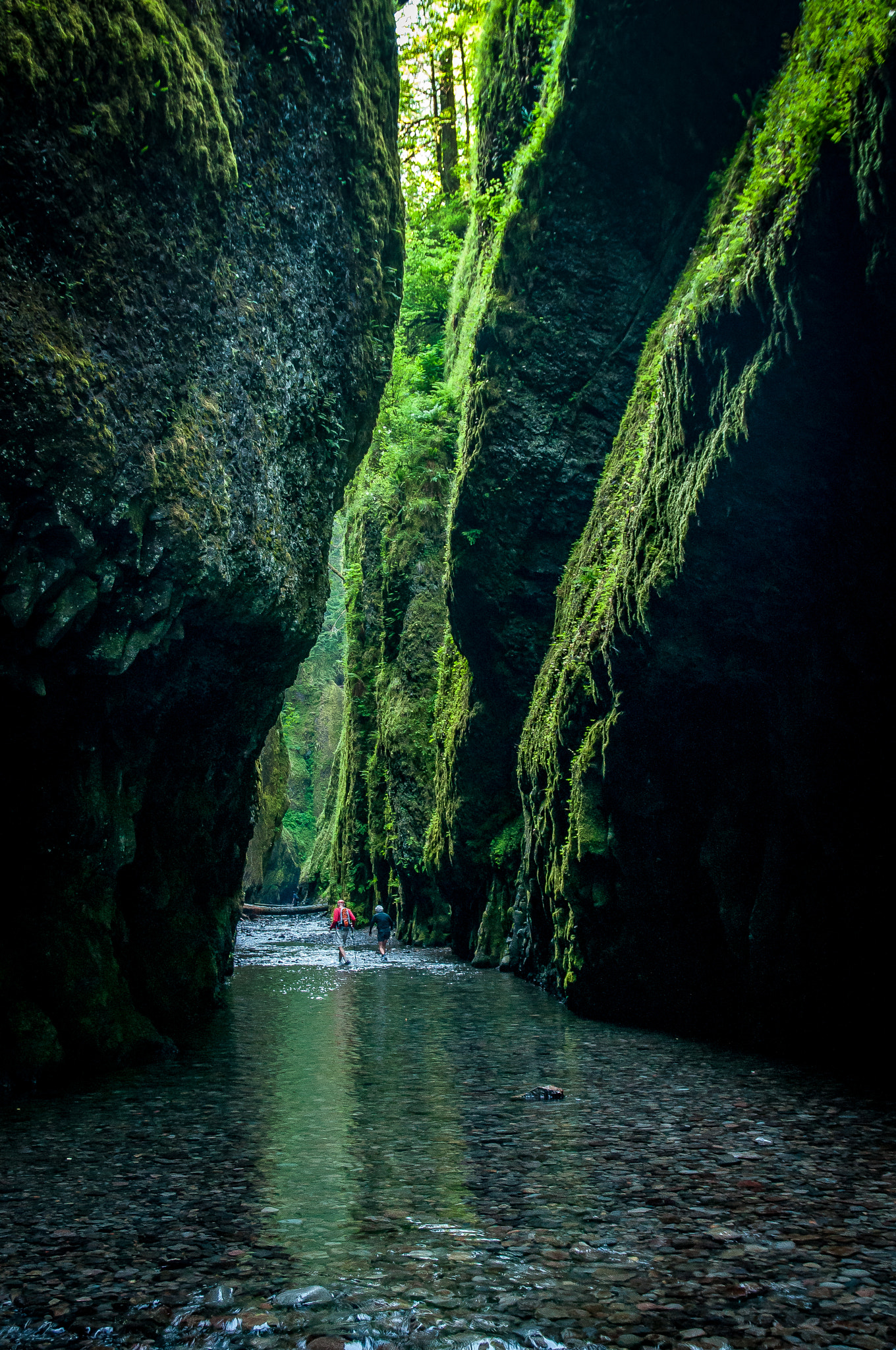 Sigma 17-70mm F2.8-4 DC Macro OS HSM | C sample photo. Oneonta gorge photography