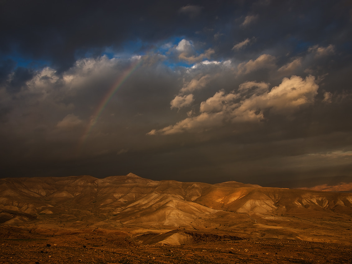 Olympus PEN E-P2 + Panasonic Lumix G 14mm F2.5 ASPH sample photo. Rainbow photography