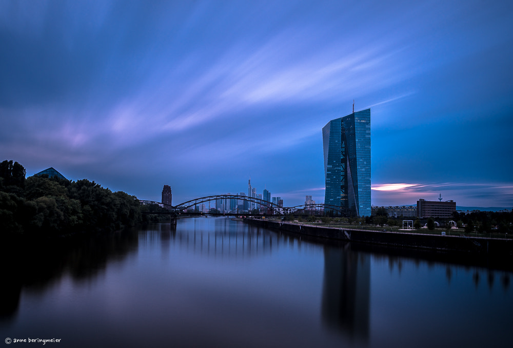 Nikon D750 + Nikon AF-S Nikkor 24mm F1.4G ED sample photo. Blue 2016 photography