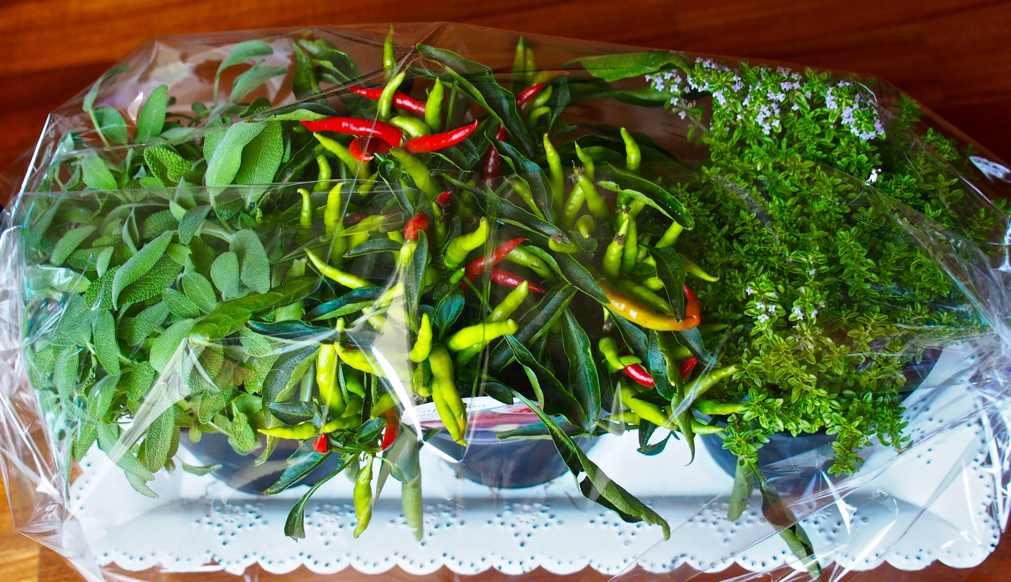 Panasonic Lumix G X Vario 12-35mm F2.8 ASPH Power OIS sample photo. A spicy bouquet photography