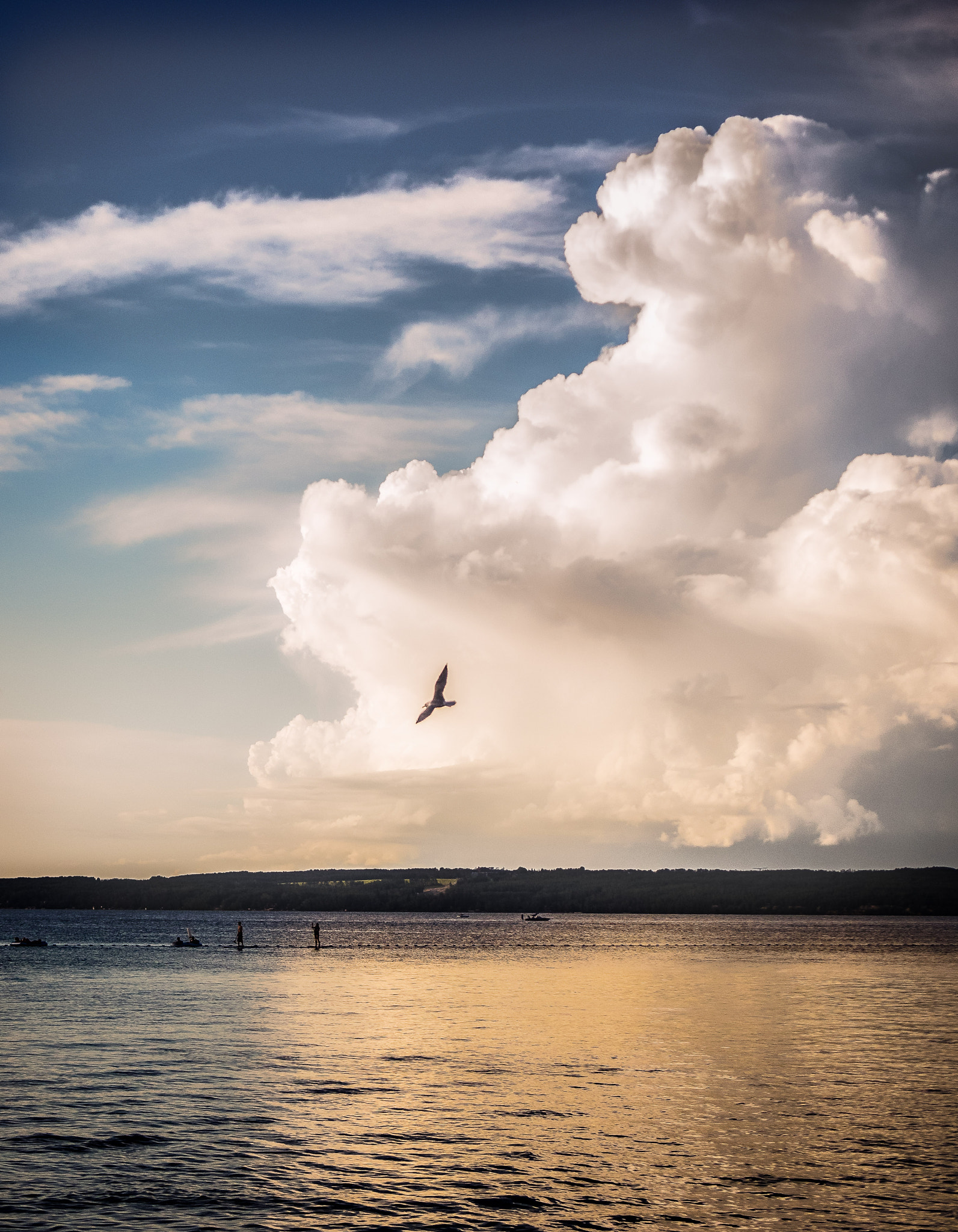 Panasonic Lumix G X Vario 35-100mm F2.8 OIS sample photo. Soar photography