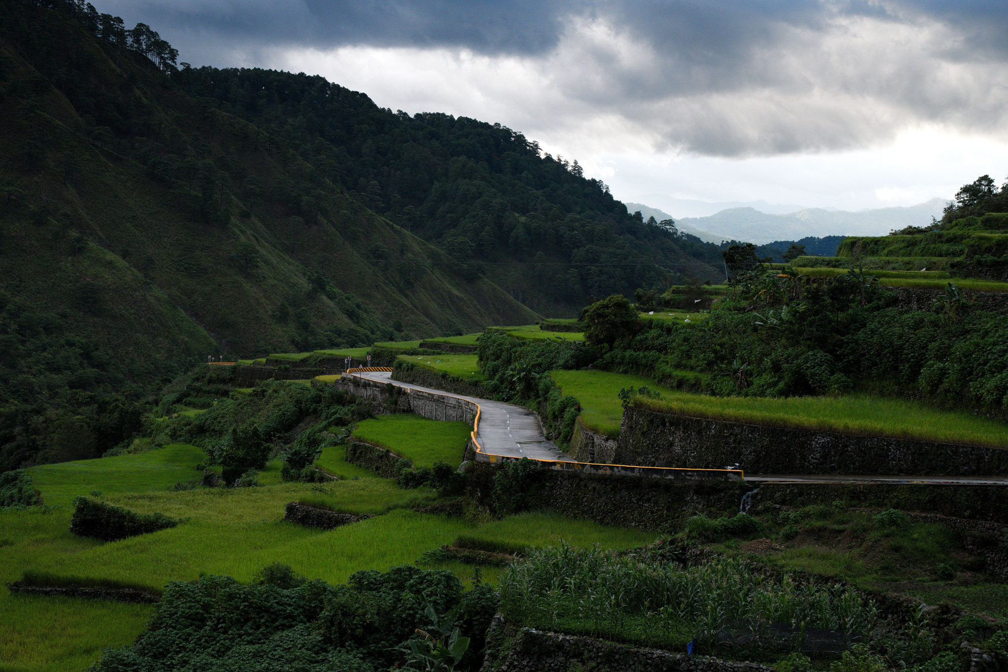 Sigma 17-70mm F2.8-4 DC Macro OS HSM | C sample photo. North luzon photography