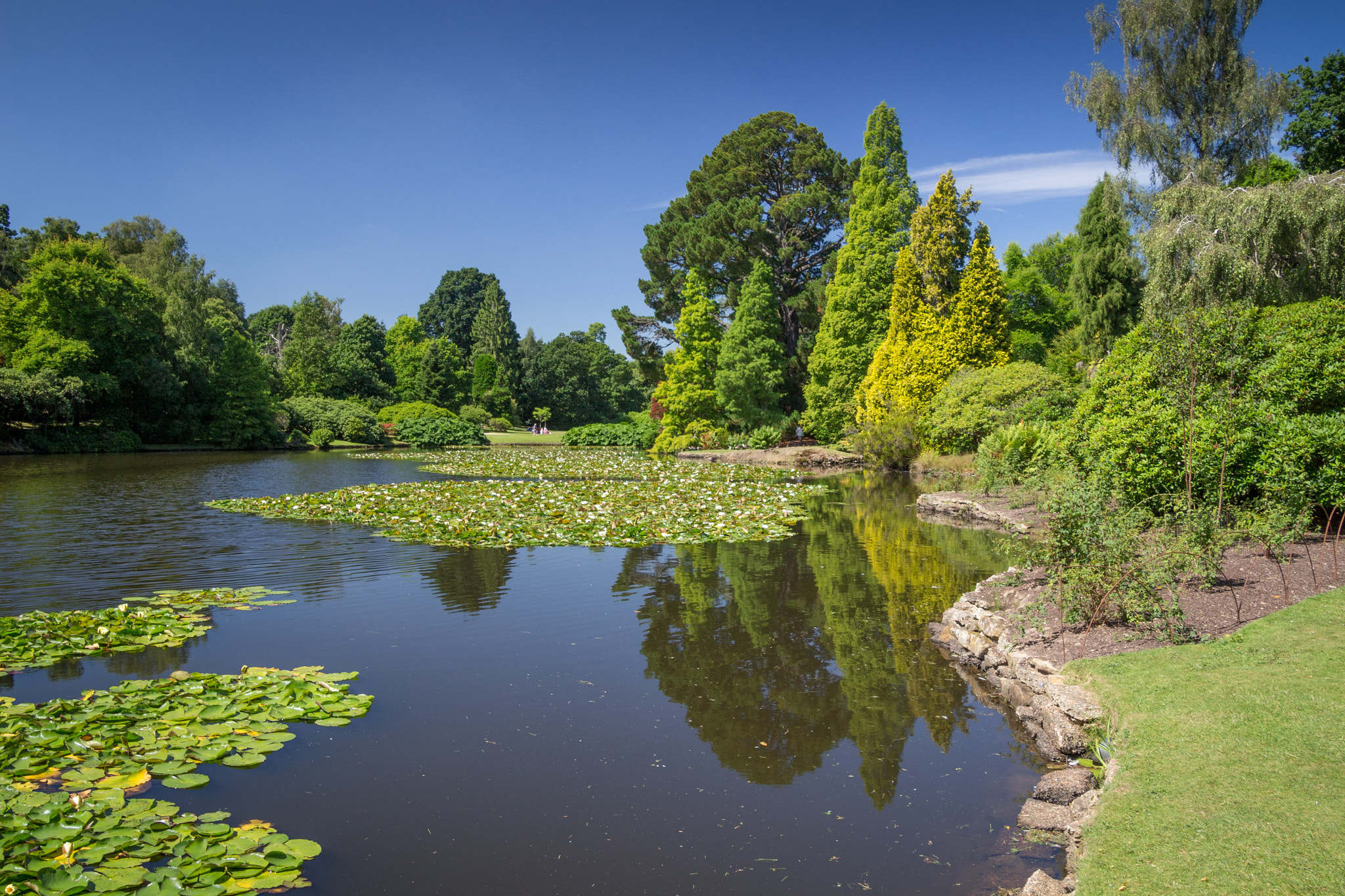 Canon EOS 100D (EOS Rebel SL1 / EOS Kiss X7) sample photo. Sheffield park in the summer photography