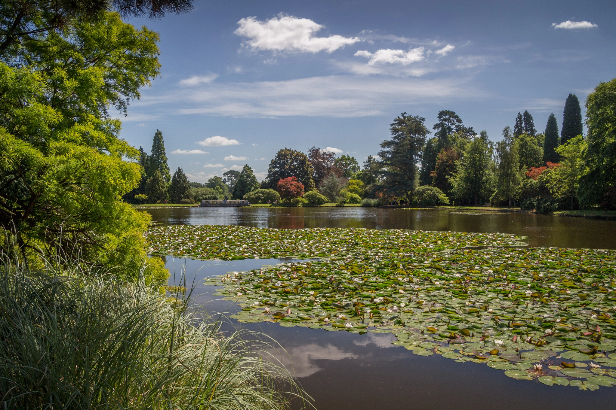 Canon EOS 100D (EOS Rebel SL1 / EOS Kiss X7) sample photo. Sheffield park in the summer photography