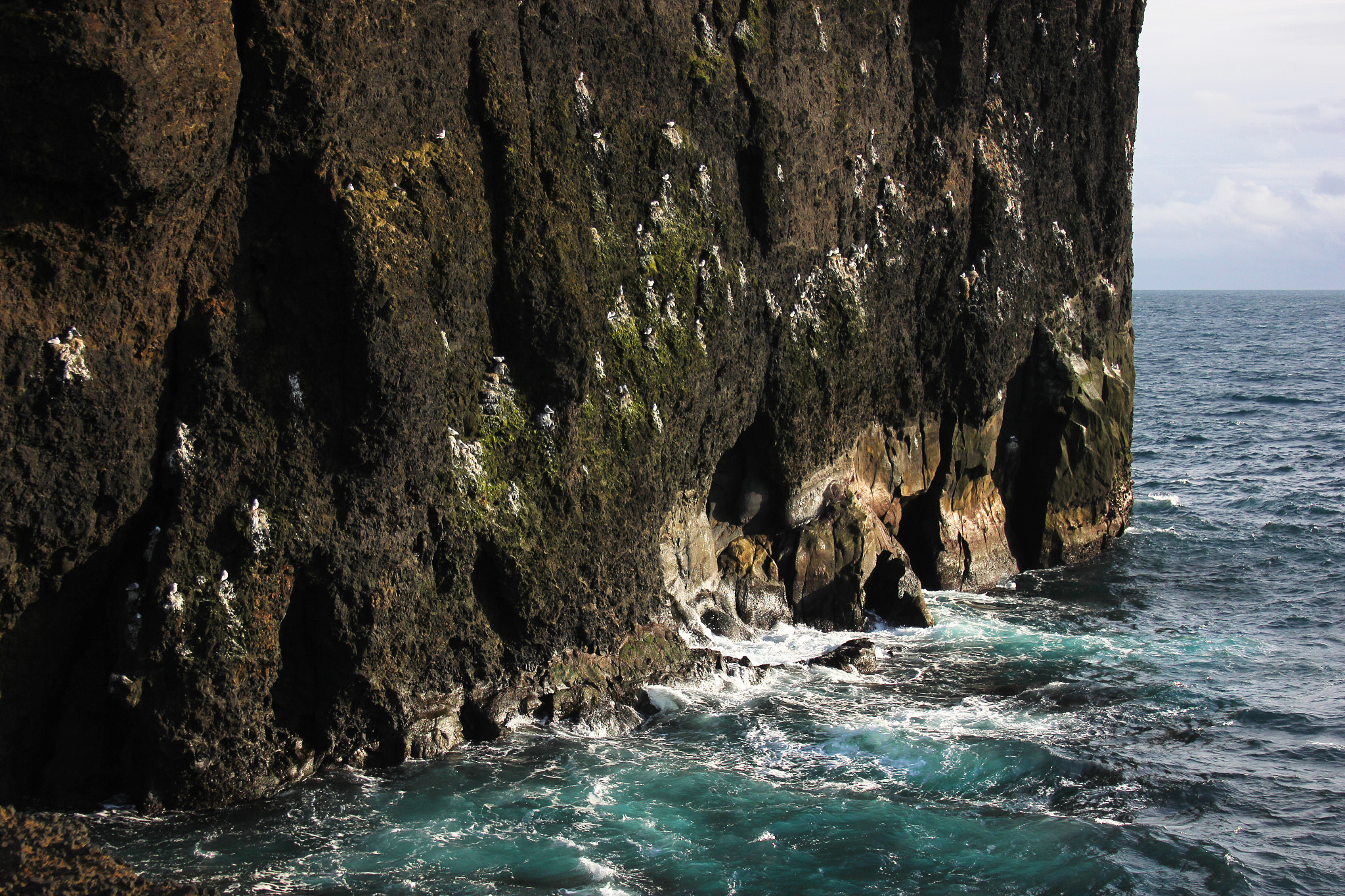 Canon EF 28-135mm F3.5-5.6 IS USM sample photo. Ocean cliffs and nesting birds photography