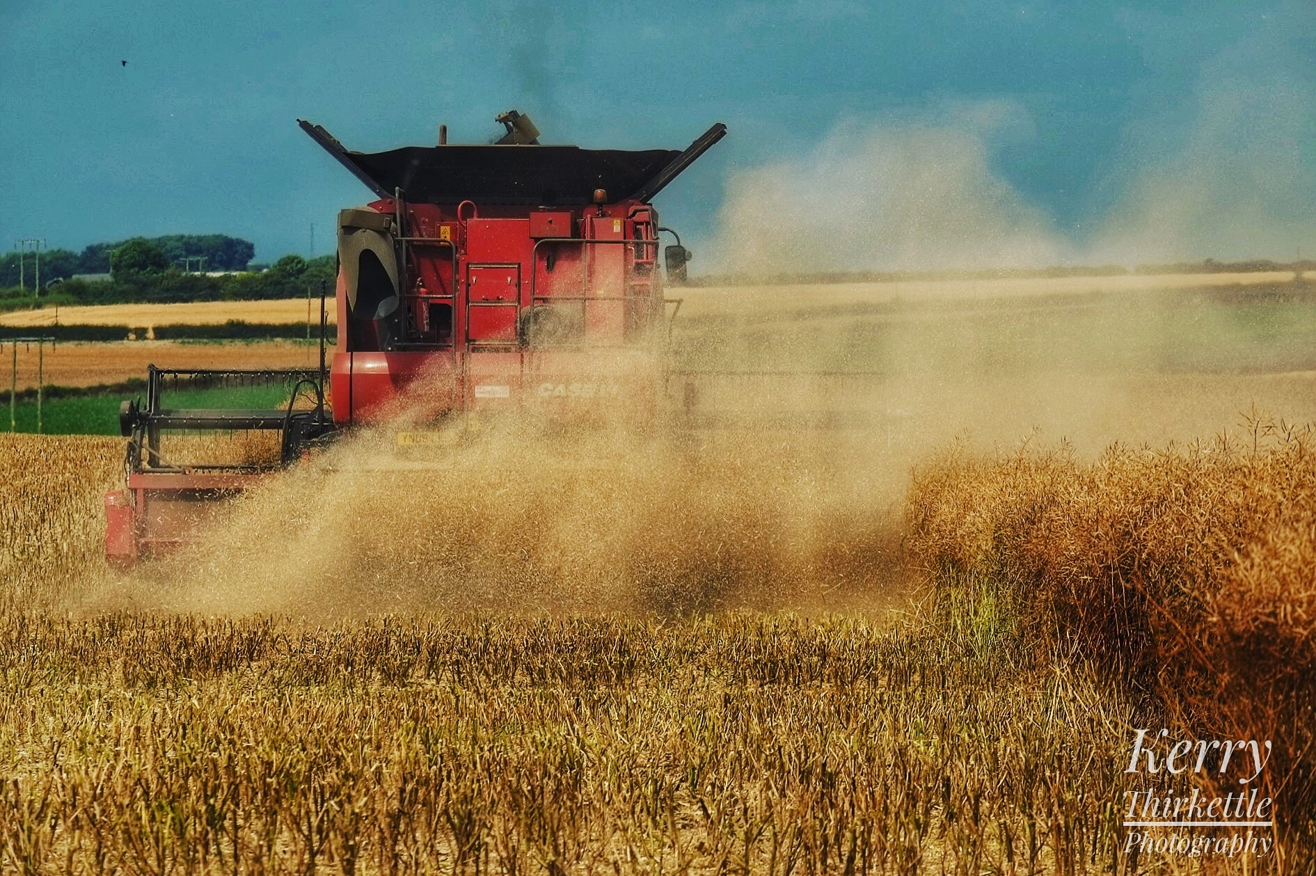 Fujifilm XF 55-200mm F3.5-4.8 R LM OIS sample photo. Harvesting the crop! photography