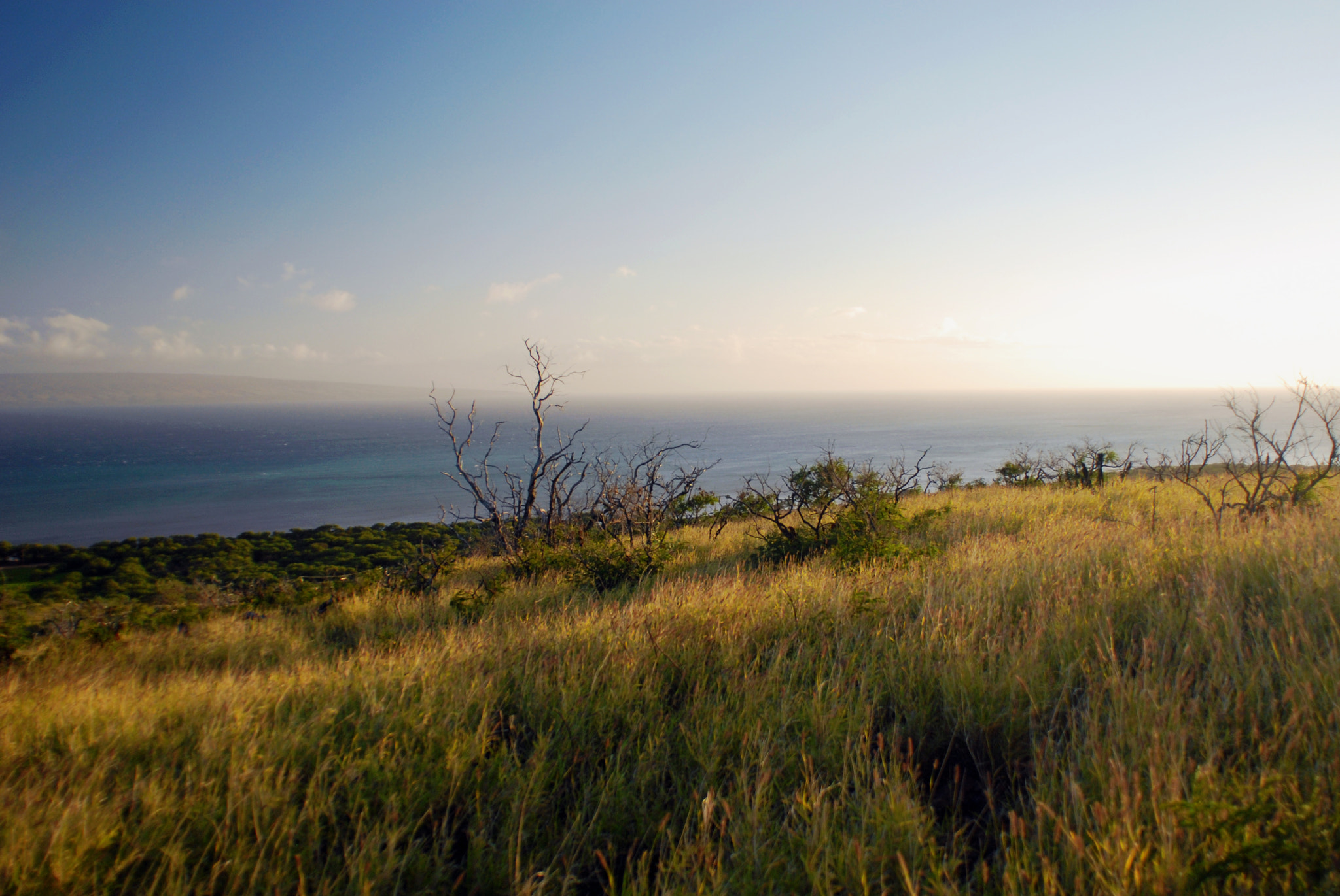 Nikon AF Nikkor 20mm F2.8D sample photo. Molokai photography