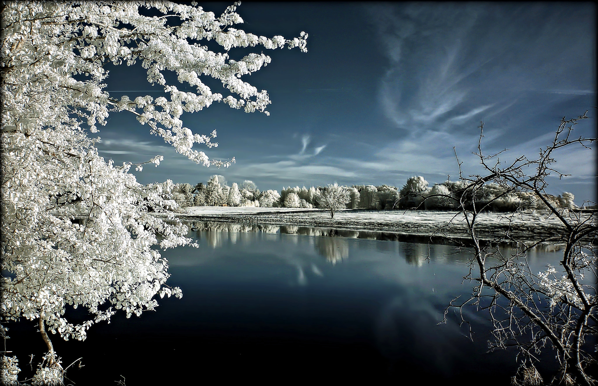 Nikon D50 sample photo. Infrared () photography