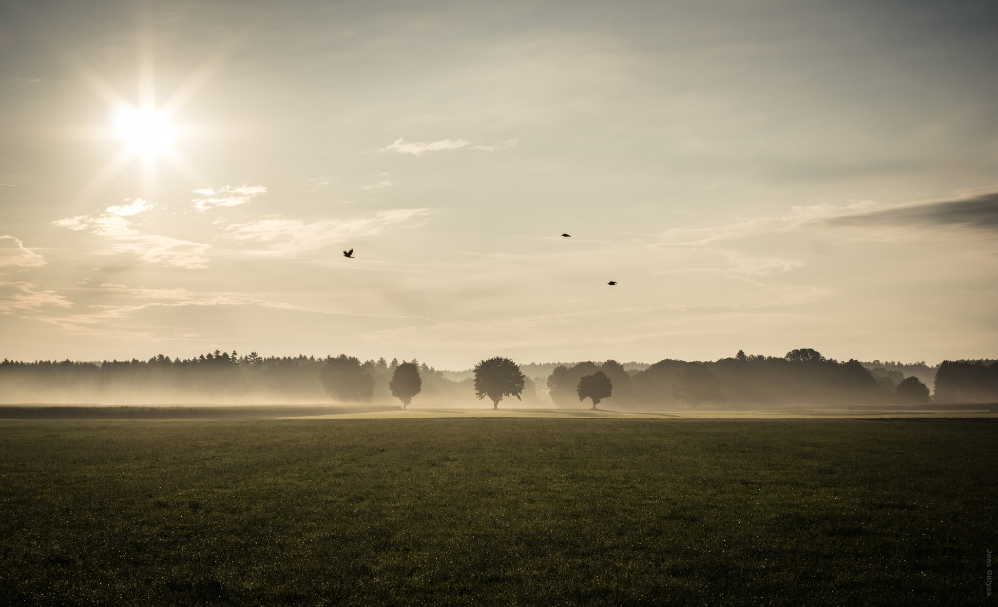 Pentax smc FA 43mm F1.9 Limited sample photo. Morning mood photography