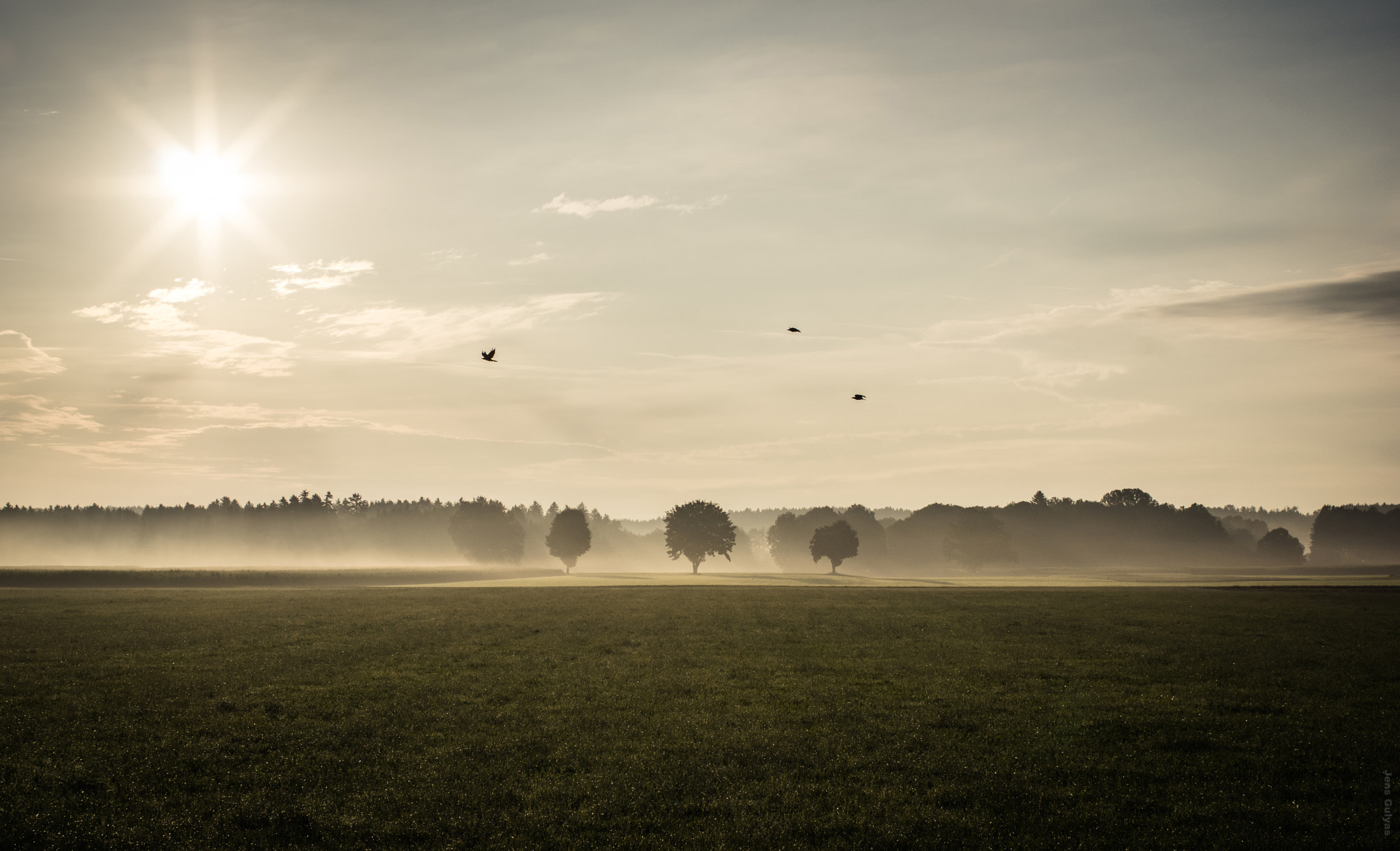 Pentax K-3 II sample photo. Morning mood photography