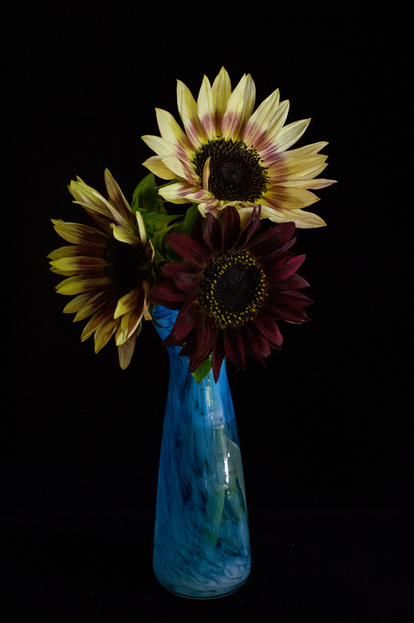 smc PENTAX-FA Macro 50mm F2.8 sample photo. Sunflowers blue vase photography