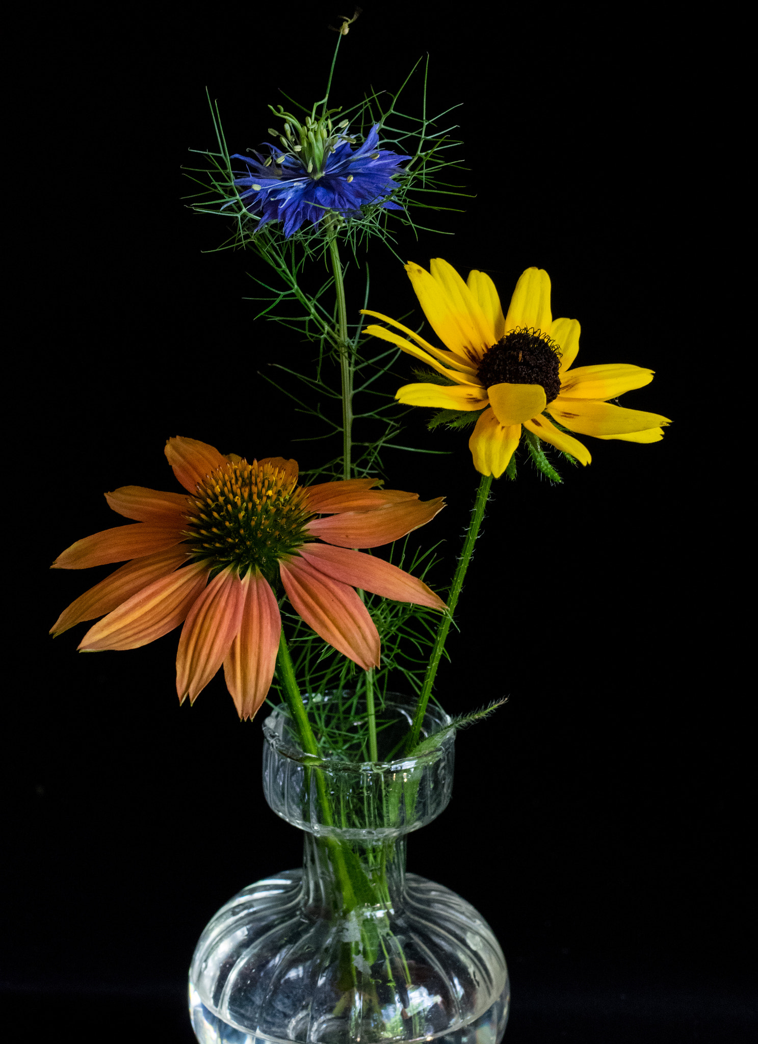 Pentax K-3 + smc PENTAX-FA Macro 50mm F2.8 sample photo. Trio of flowers photography