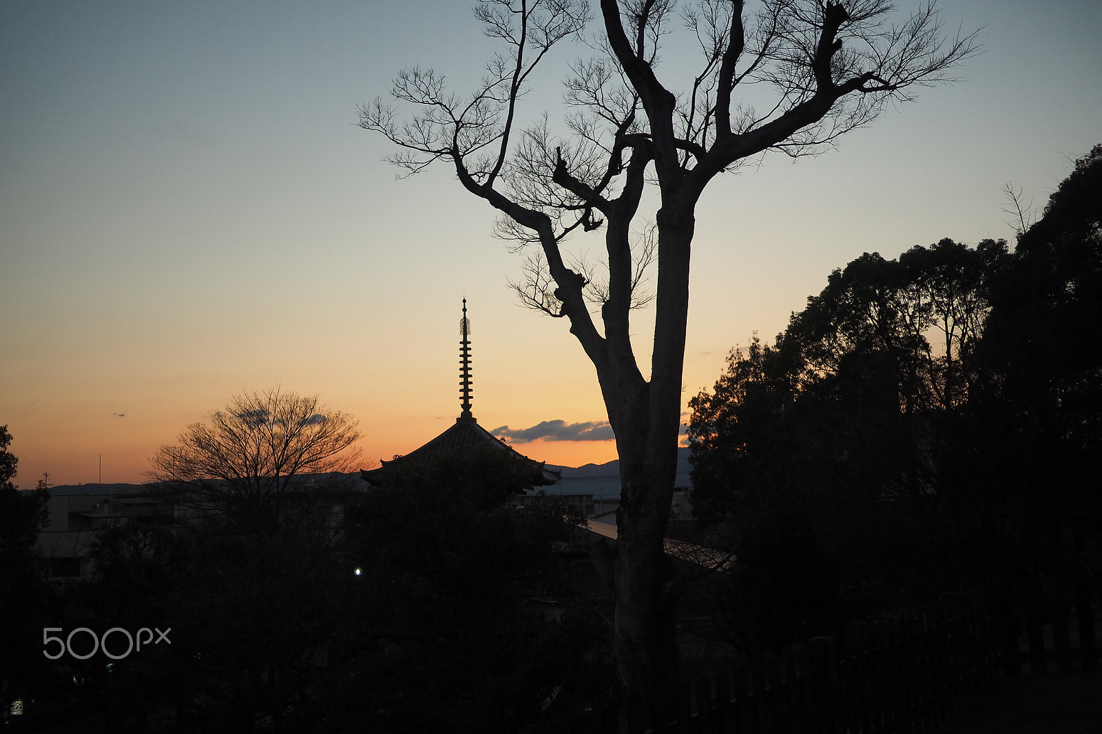 Olympus OM-D E-M10 + LUMIX G 20/F1.7 II sample photo. Sunset at nara photography