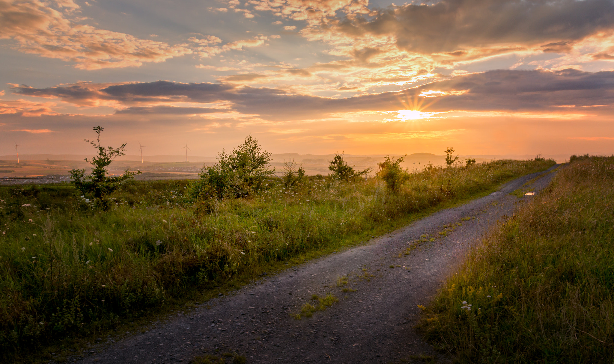 Sony SLT-A58 sample photo. Homeland view photography